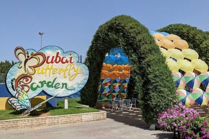 Discover the charm of the Dubai Butterfly Garden where the beauty of butterflies unfolds among colorful domes inviting exploration and learning about their fascinating life cycle and habitats.